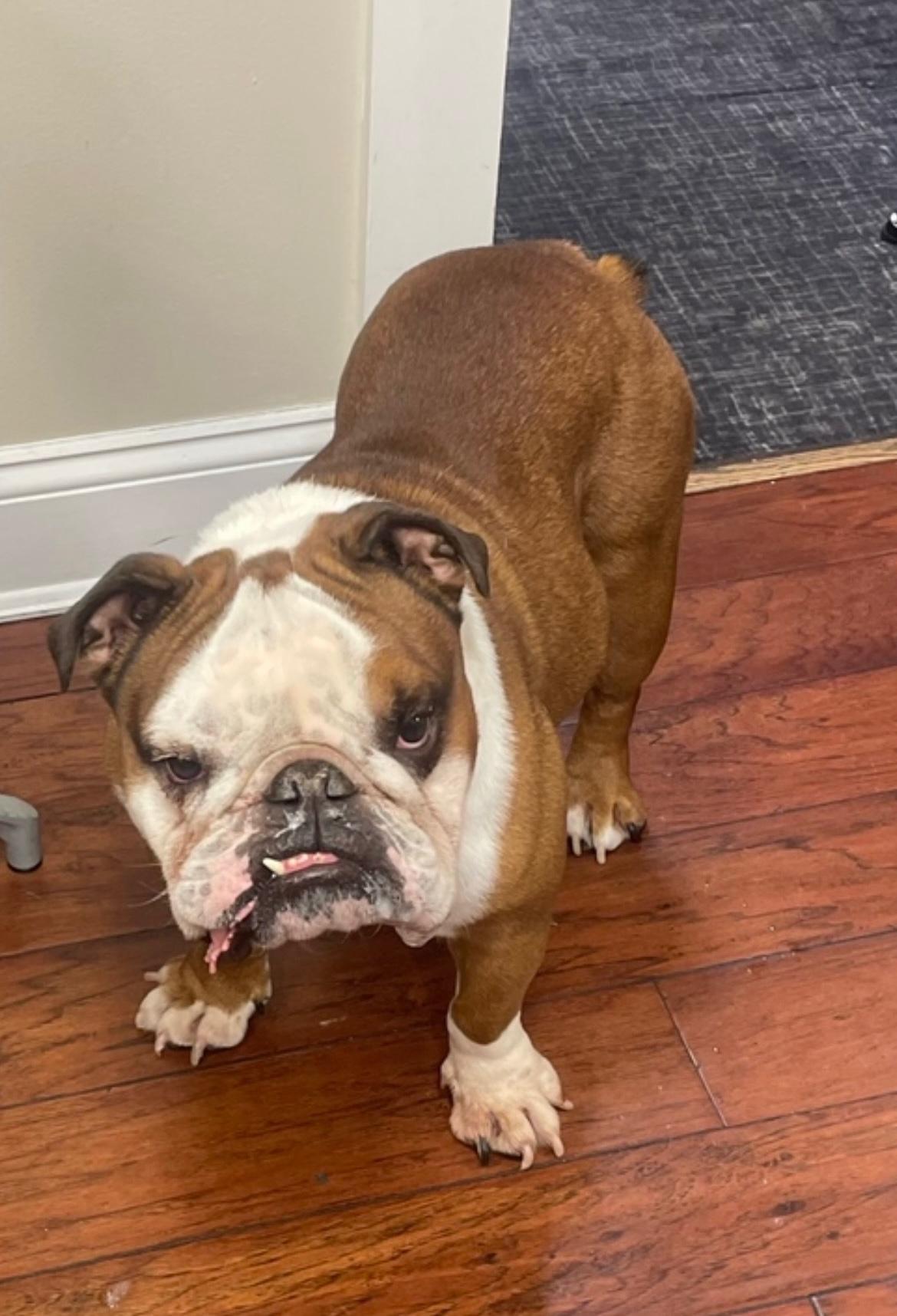 的热爱和她 的热爱和她